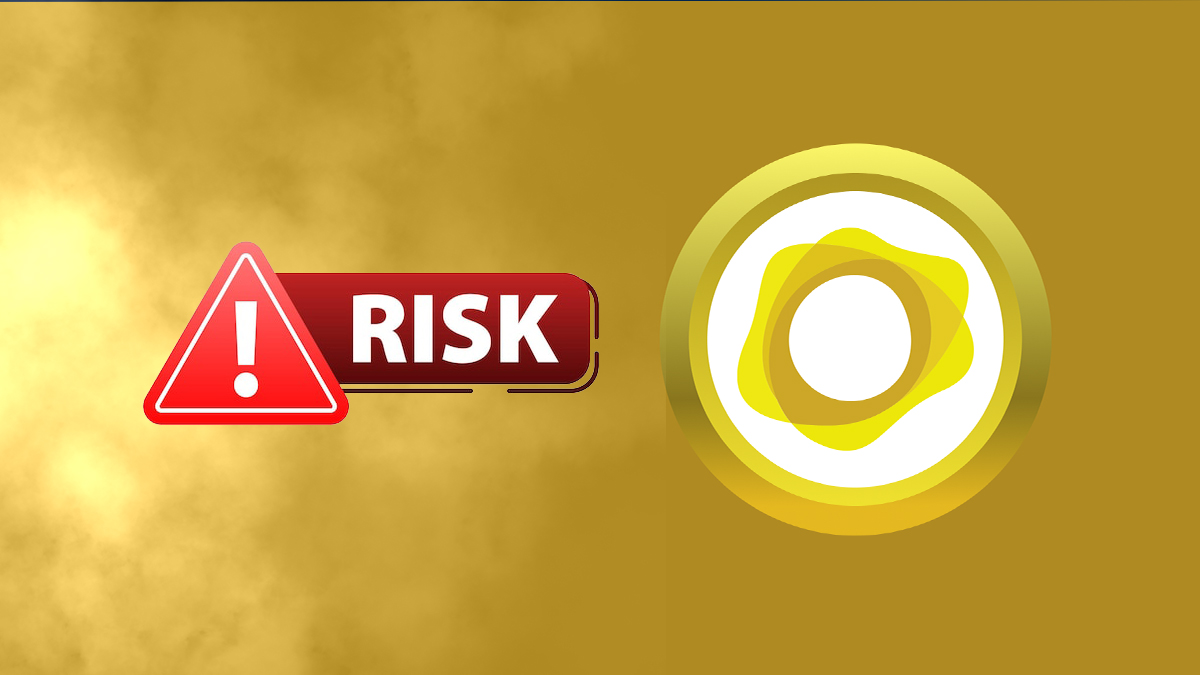 Risks and Considerations in PAXG Staking
