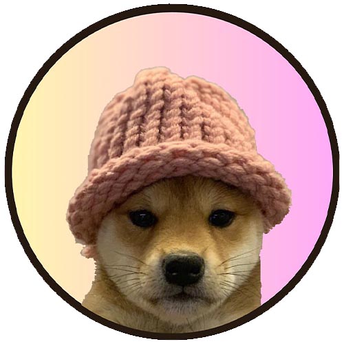 $WIF (dogwifhat)