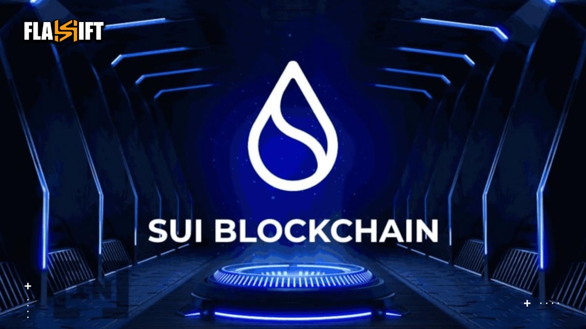 What Is the Sui Blockchain