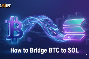 How to Bridge BTC to SOL